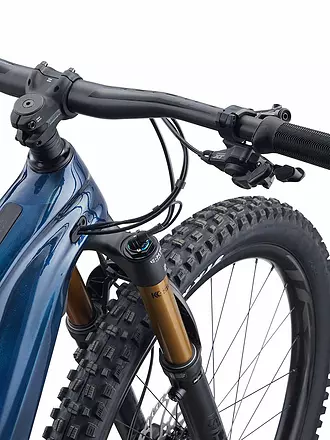 GIANT | Herren E-Mountainbike 29