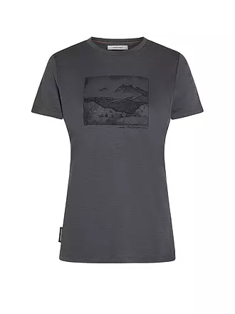ICEBREAKER | Damen Funktionsshirt Lake View 150 Tech-Lite | grau