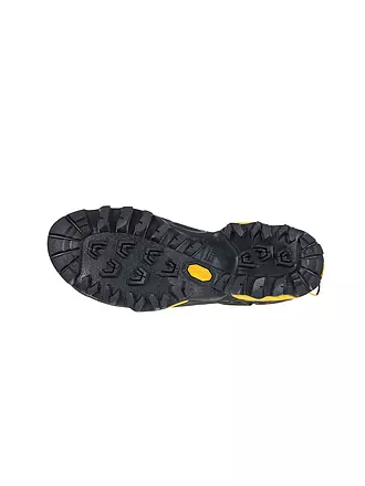 LA SPORTIVA | Herren Zustiegsschuhe TX5 Low GTX | grau