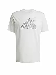 ADIDAS | Herren T-Shirt City Escape Logo Graphic | grau