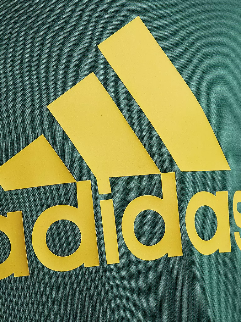 ADIDAS | Jungen Sweater Designed To Move Big Logo  | grün