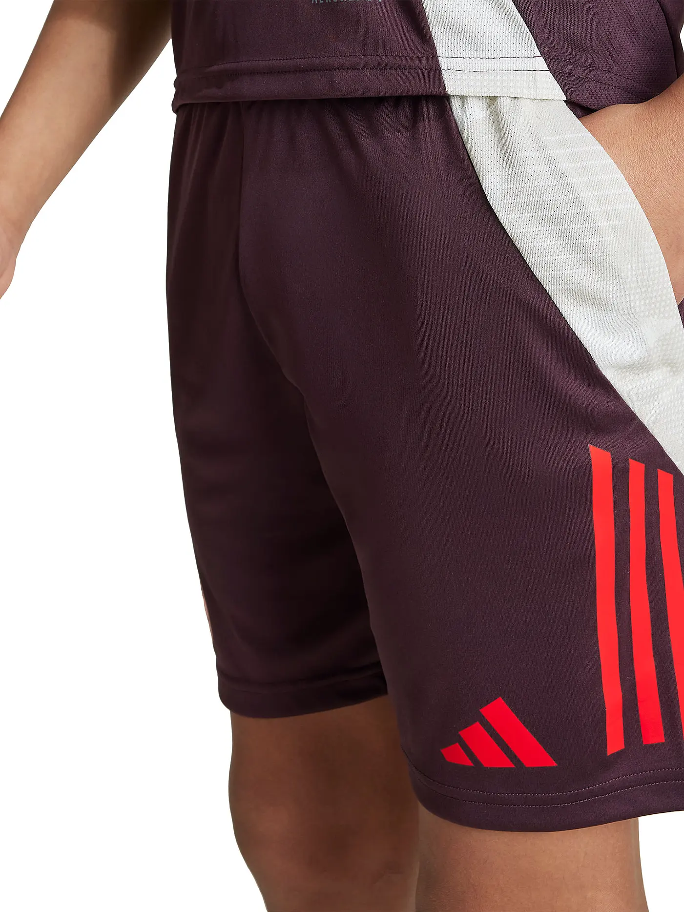 ADIDAS | Kinder Fußballshort Training FC Bayern | rot