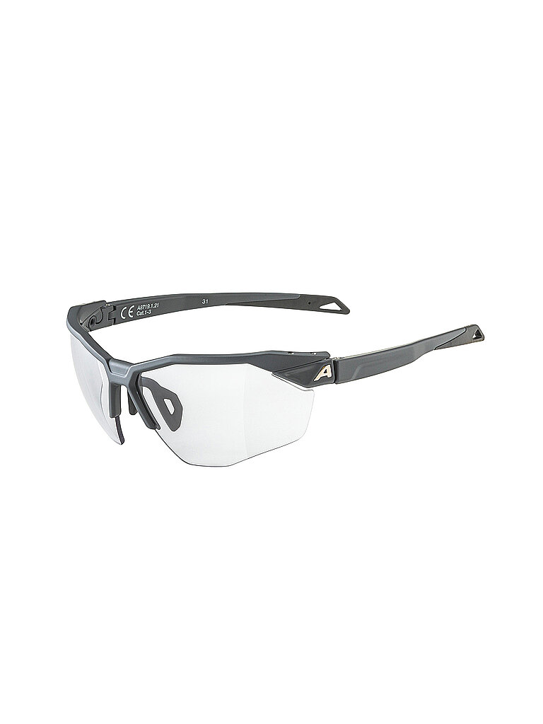 Alpina ALPINA Herren Radbrille Twist Six HR Vario grau, grau