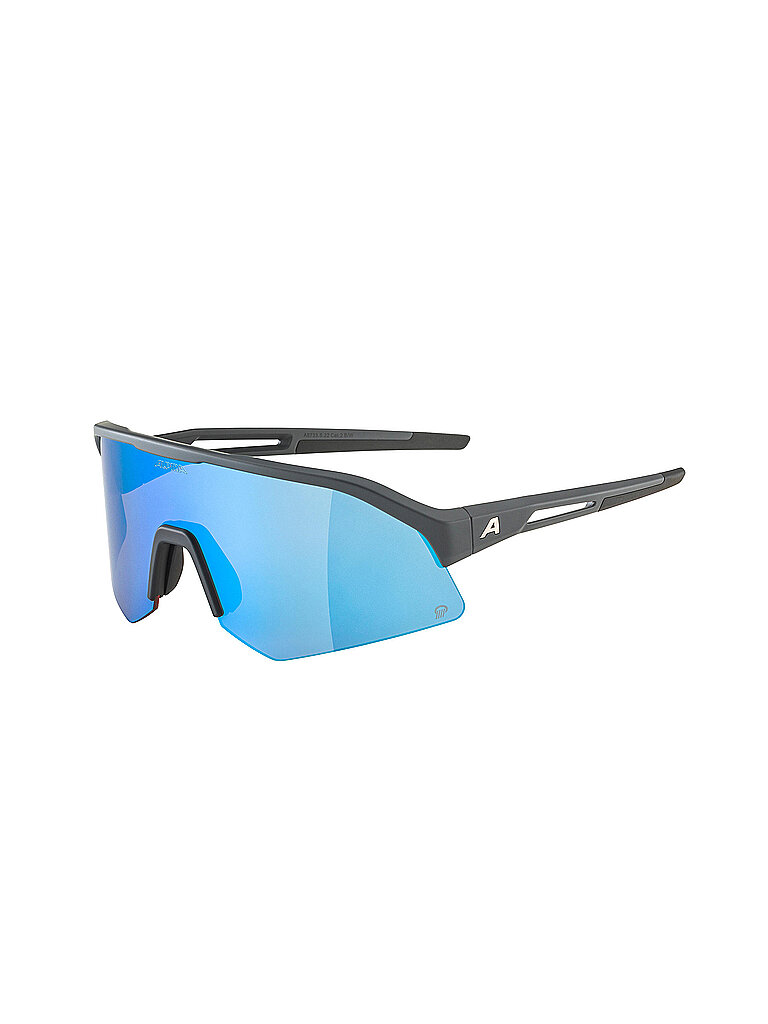 Alpina ALPINA Herren Radbrille Sonic HR Q grau, grau