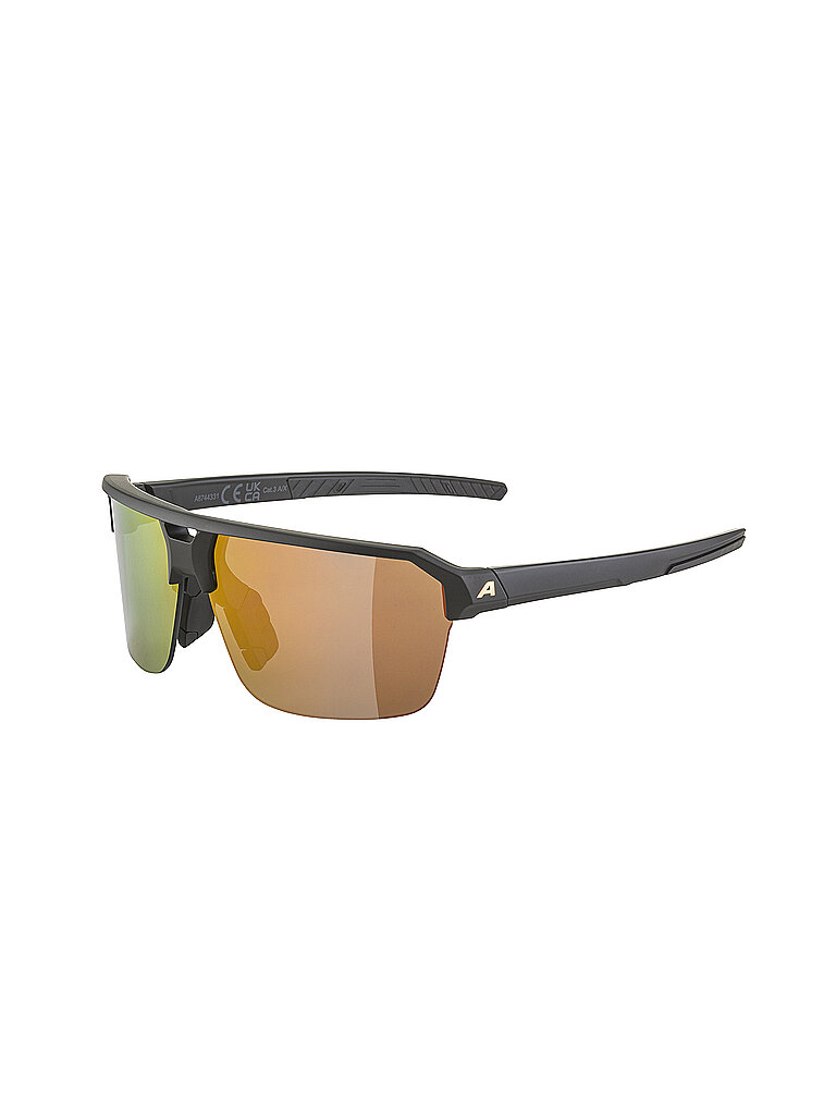 Alpina ALPINA Herren Radbrille Swift HR schwarz, schwarz