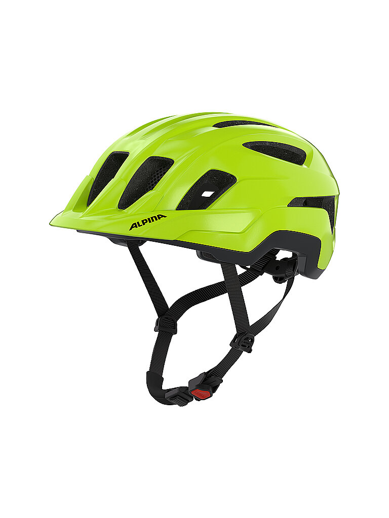 ALPINA Fahrradhelm Paranus grün | 52-56CM