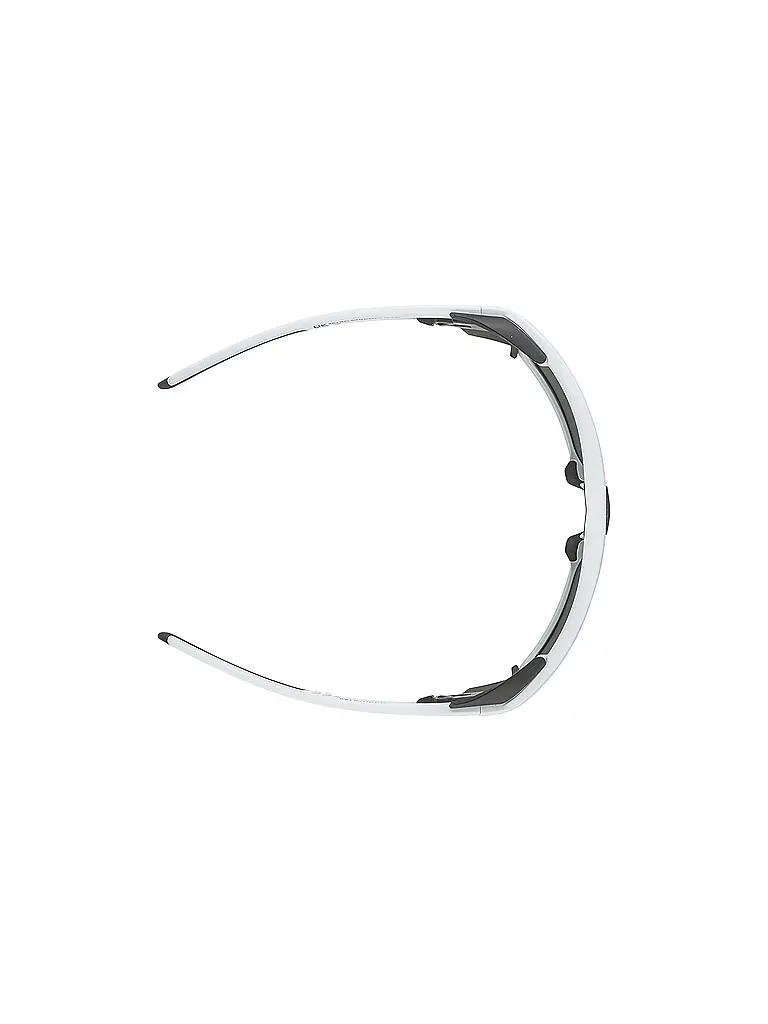 ALPINA | Damen Bergbrille Skiwalsh | 