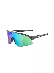 ALPINA | Damen Radbrille Sonic HR Q-Lite | grau