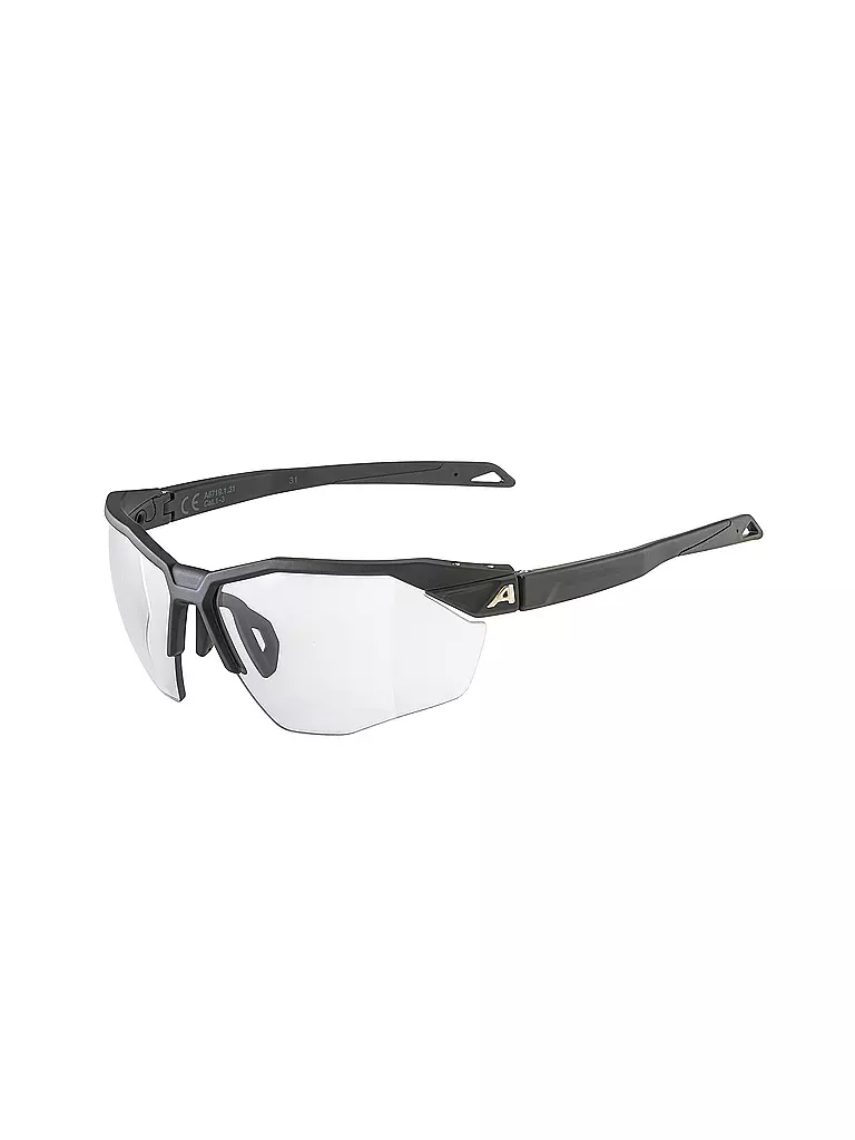 ALPINA | Herren Radbrille Twist Six HR | schwarz