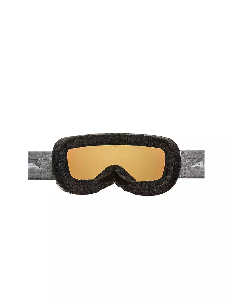 ALPINA | Skibrille Pheos S HM | weiß