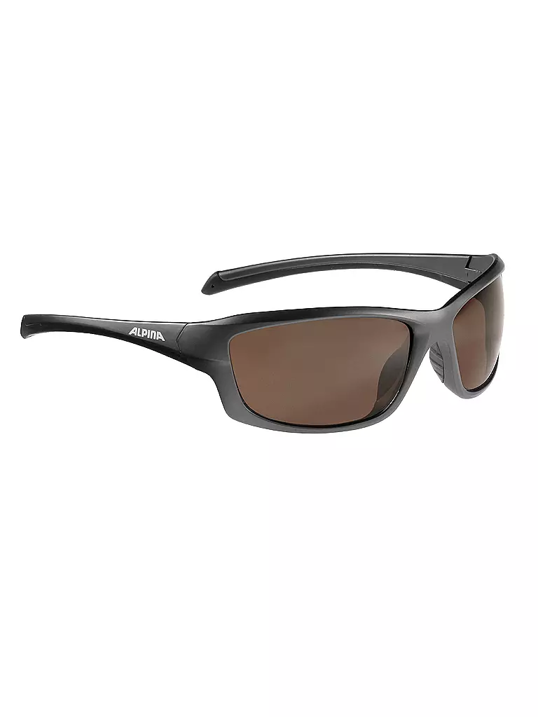 ALPINA | Sonnenbrille DYFER | braun