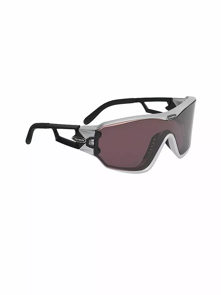 ALPINA | Sonnenbrille S62 DLQ | 