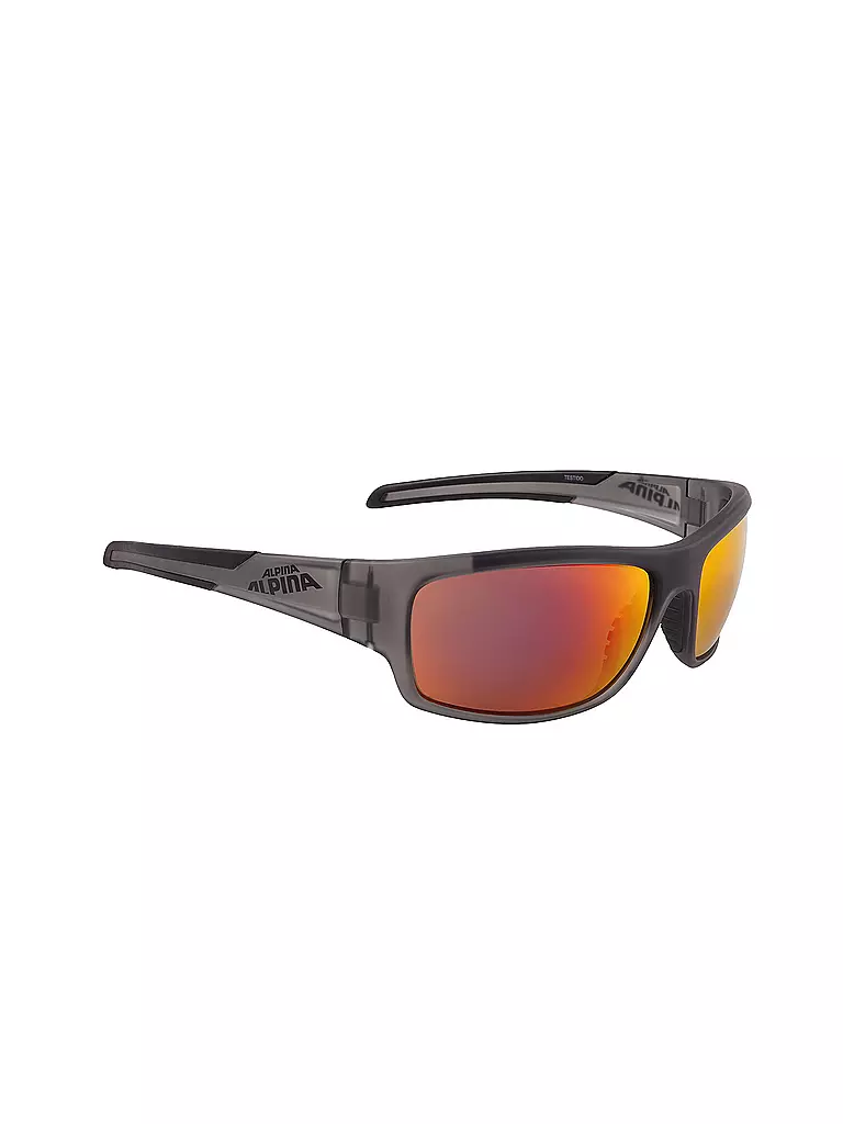 ALPINA | Sportbrille Testido | grau