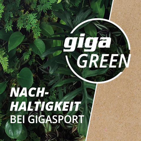 480×480-gigagreen-fs22-blog