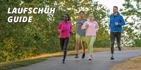 blog-richtigen-laufschuh-finden_ads_960x480