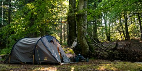 Ein graues Zelt steht auf einer sonnenbeschienenen Waldlichtung, in der Nähe liegen Campingutensilien auf dem Boden, umgeben von hohen grünen Bäumen.