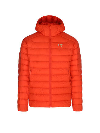 ARCTERYX | Herren Isojacke Cerium Hoodie