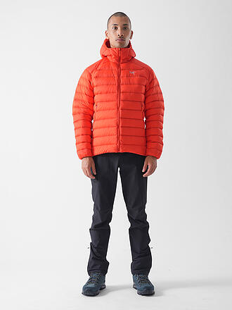 ARCTERYX | Herren Isojacke Cerium Hoodie