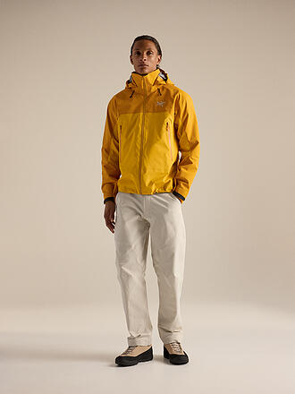 ARCTERYX | Herren Wanderjacke Beta AR GTX Pro 3L Hoodie