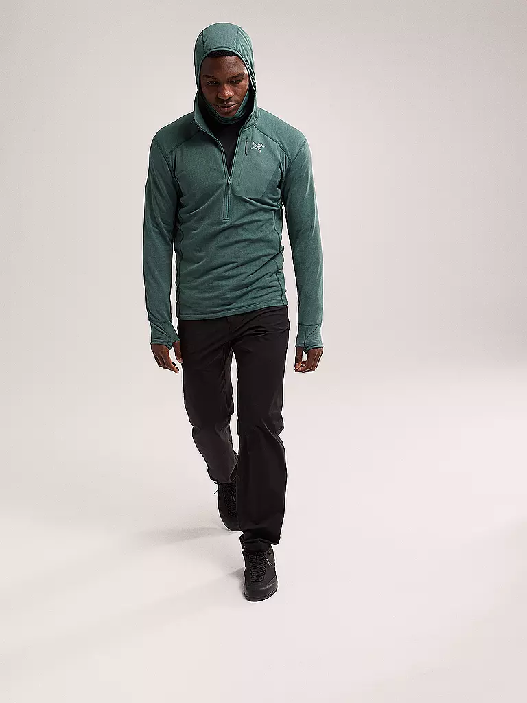 ARCTERYX | Herren Funktions Zipshirt Hoodie | grün