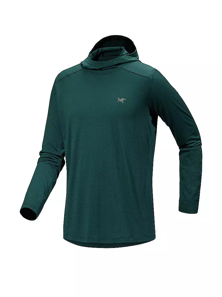 ARCTERYX | Herren Funktionsshirt Ionia Merino Wool Hoodie | grün