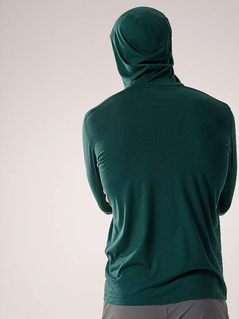 ARCTERYX | Herren Funktionsshirt Ionia Merino Wool Hoodie | grün