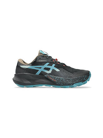 ASICS | Herren Traillaufschuhe Trabuco 14 GTX