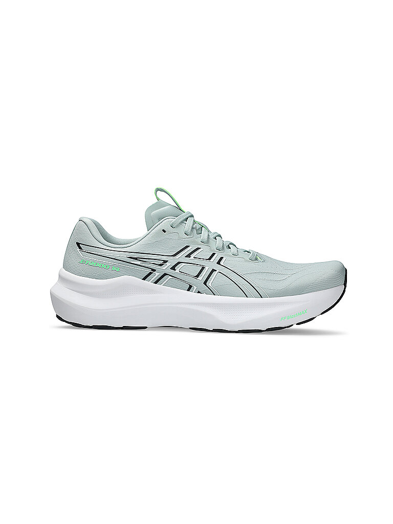 ASICS ASICS Herren Laufschuhe GT-2000 14 hellgrün | 42, hellgrün