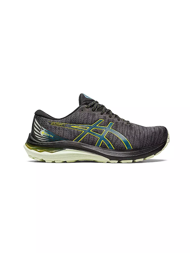 ASICS | Herren Laufschuhe GT-2000™ 11 GTX | schwarz