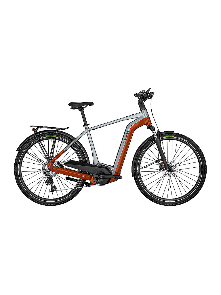 BERGAMONT Herren E-Bike E-Horizon Edition LTD Gent silber | 56