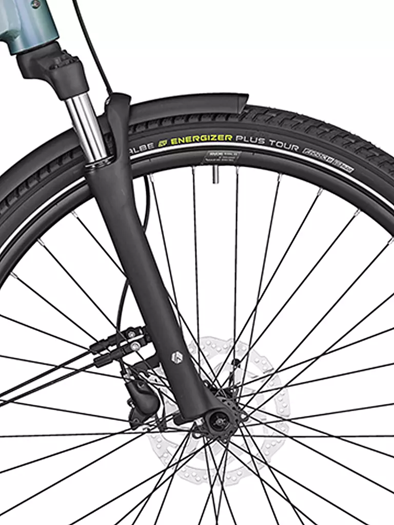 BERGAMONT | Damen E-Bike E-Horizon Edition LTD Lady |