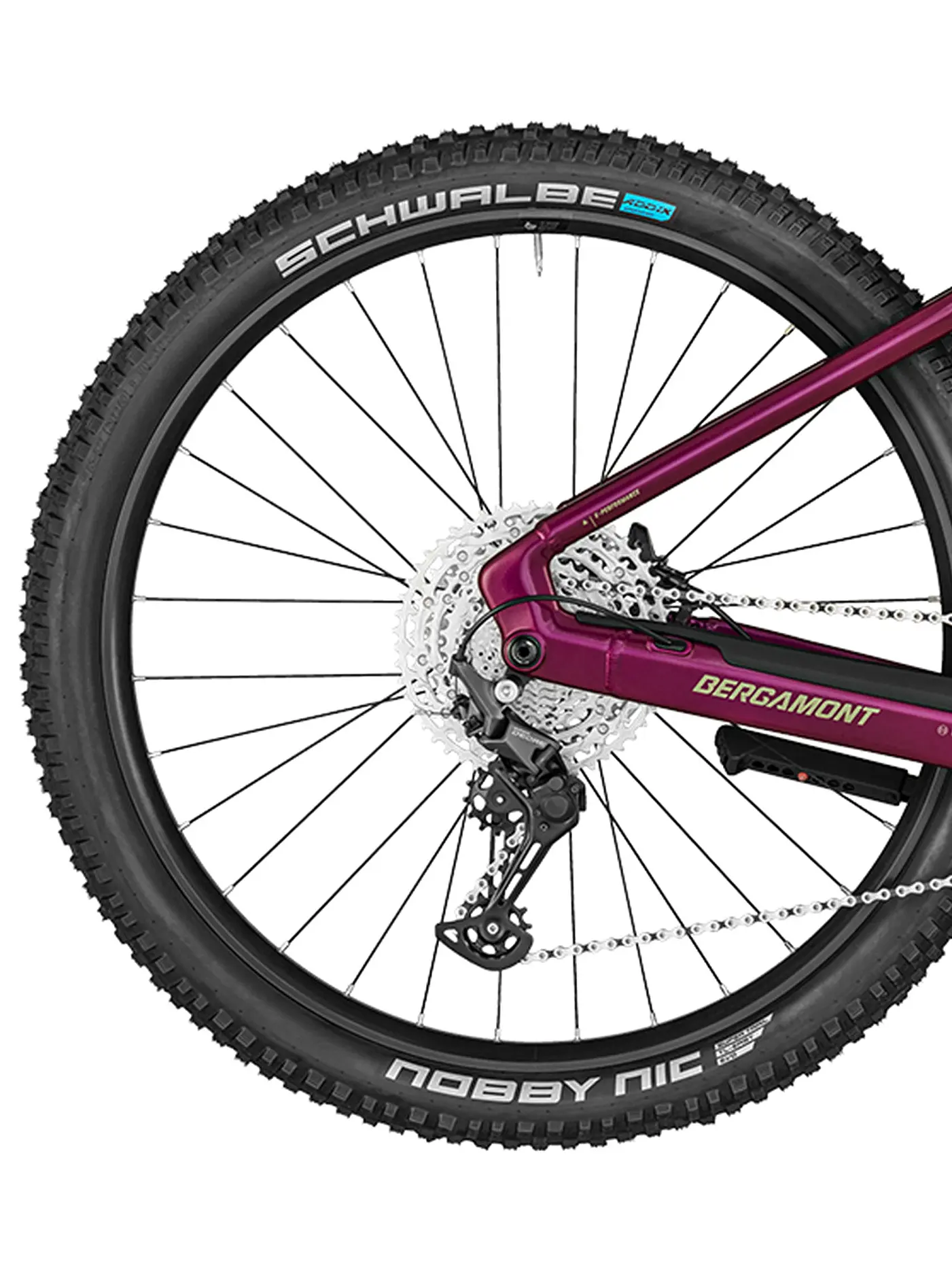 BERGAMONT | Damen E-MTB E-Revox Pro FMN | beere