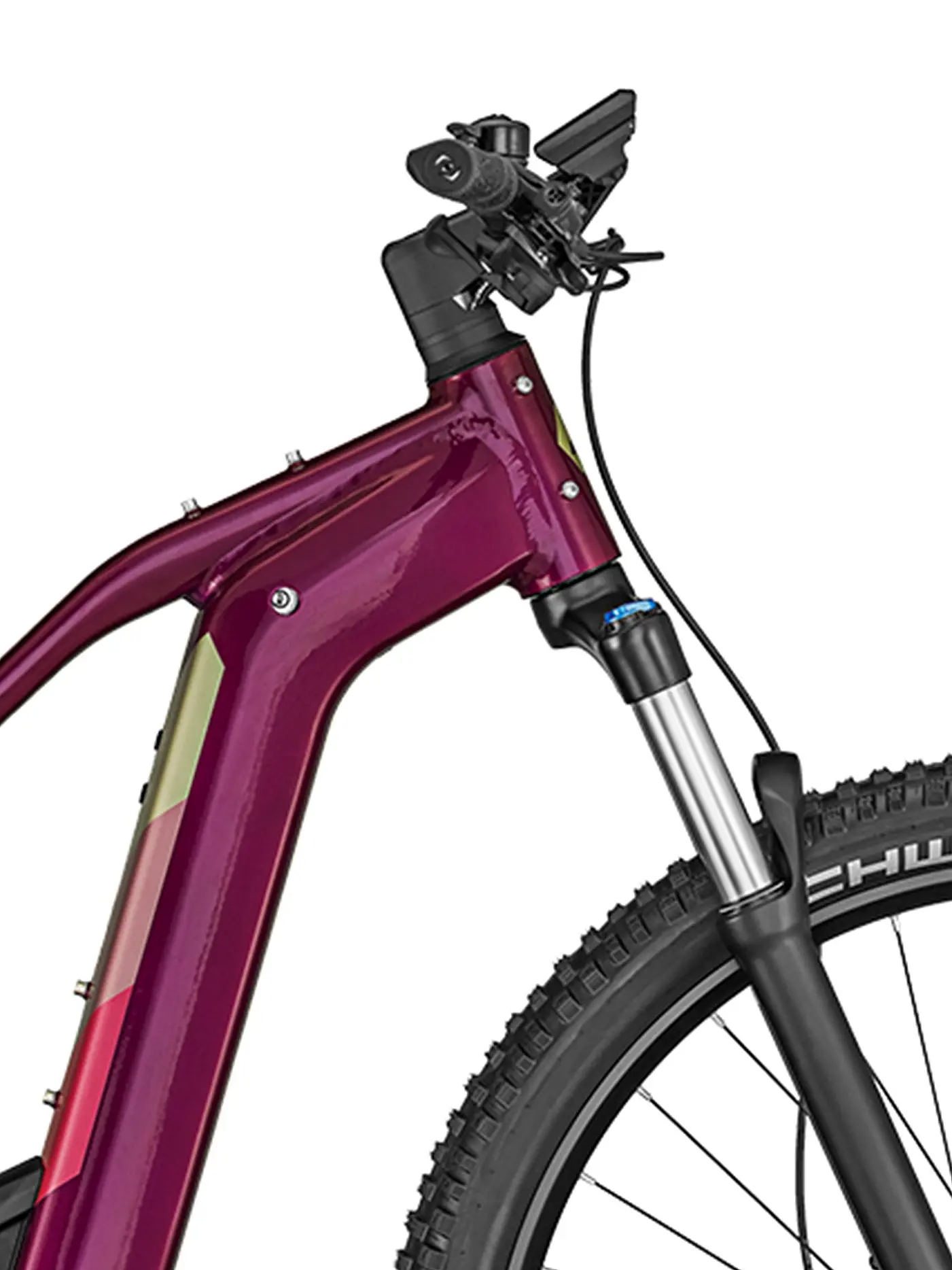 BERGAMONT | Damen E-MTB E-Revox Pro FMN | beere