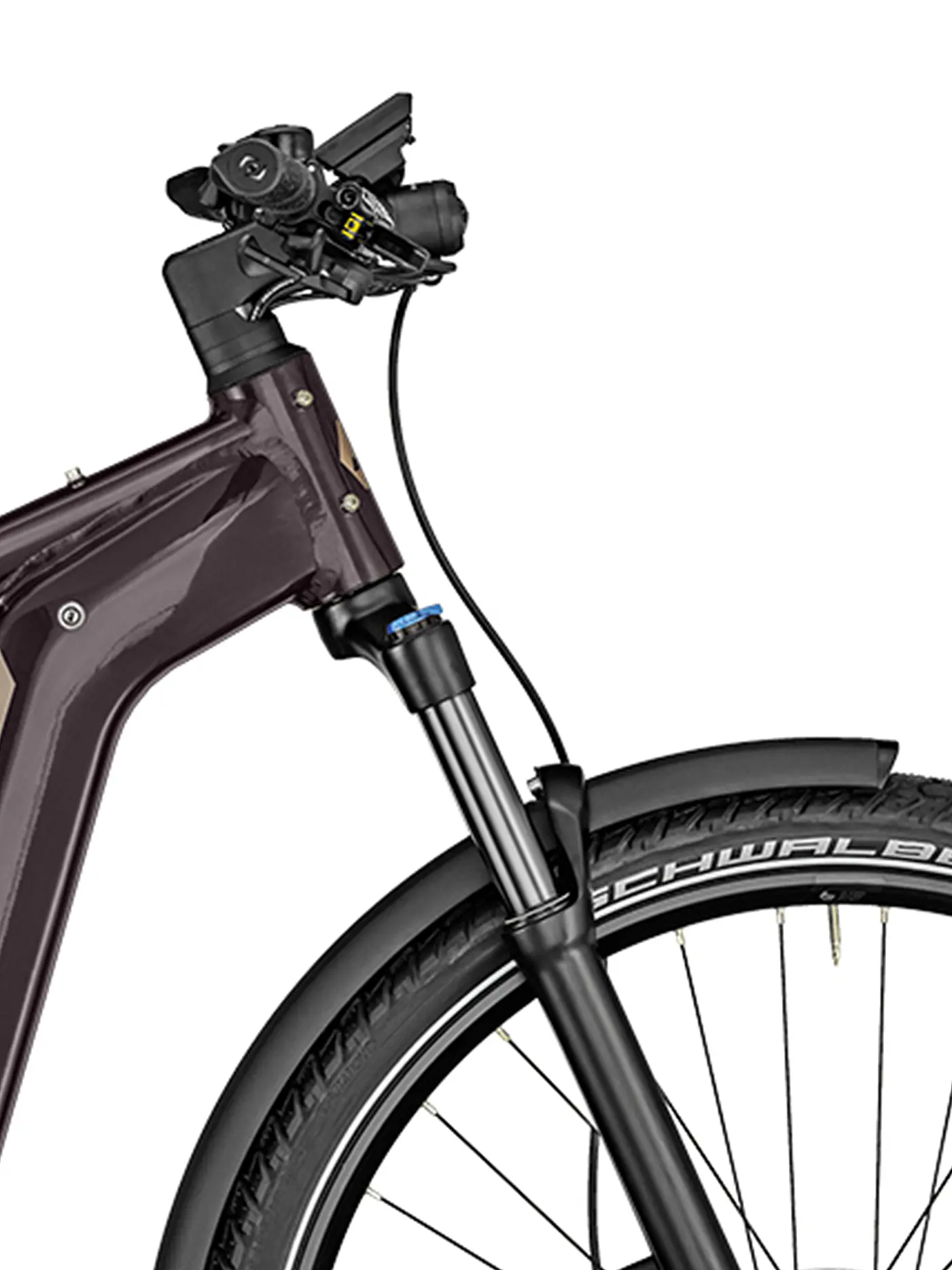 BERGAMONT | Herren E-Bike E-Revox Expert FMN EQ | beere