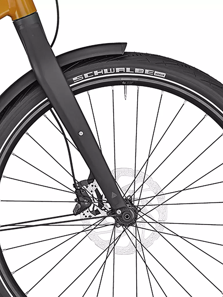 BERGAMONT | Herren E-Bike E-Revox Sport Rigid EQ | 