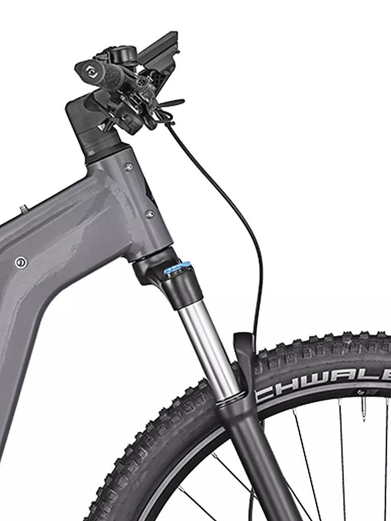 BERGAMONT | Herren E-MTB E-Revox Pro | grau