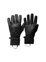 BLACK DIAMOND | Handschuhe Tour | schwarz
