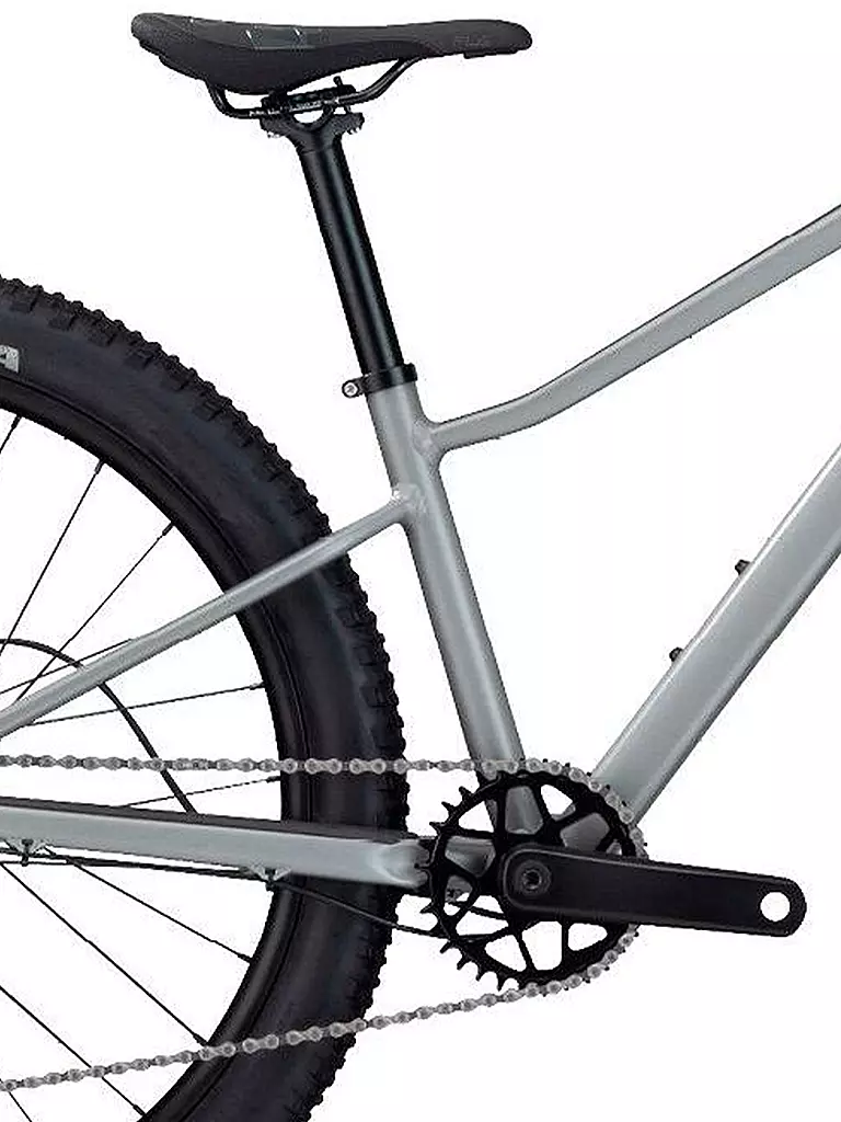 BMC | Jugend Mountainbike 24" Twostroke AL | grau