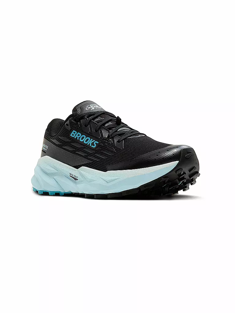 BROOKS | Damen Traillaufschuhe Cascadia 19 GTX | schwarz
