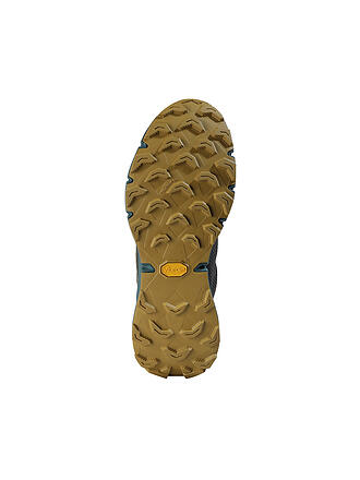 DYNAFIT | Herren Traillaufschuhe Ultra 100 GTX