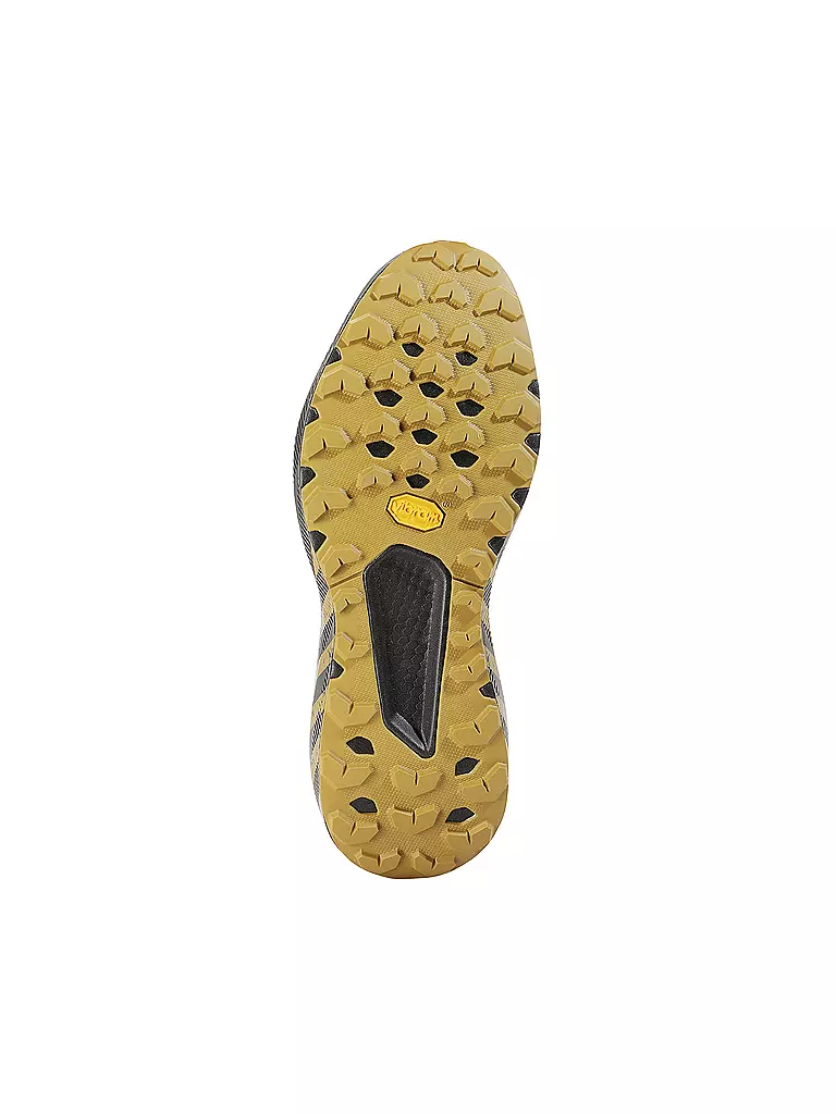 DYNAFIT | Herren Traillaufschuhe Trail Graphic | schwarz