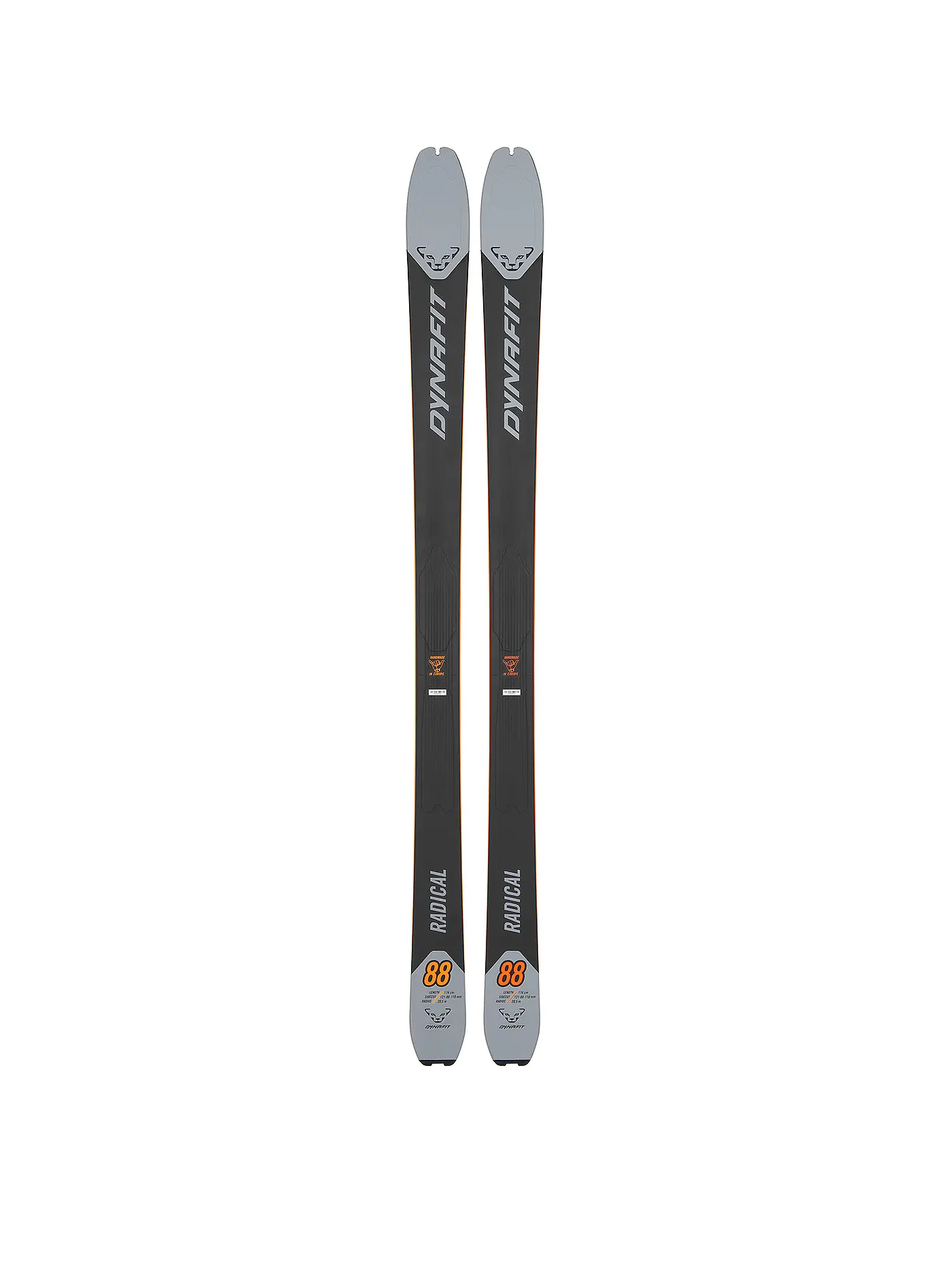DYNAFIT | Tourenski Radical 88 | grau