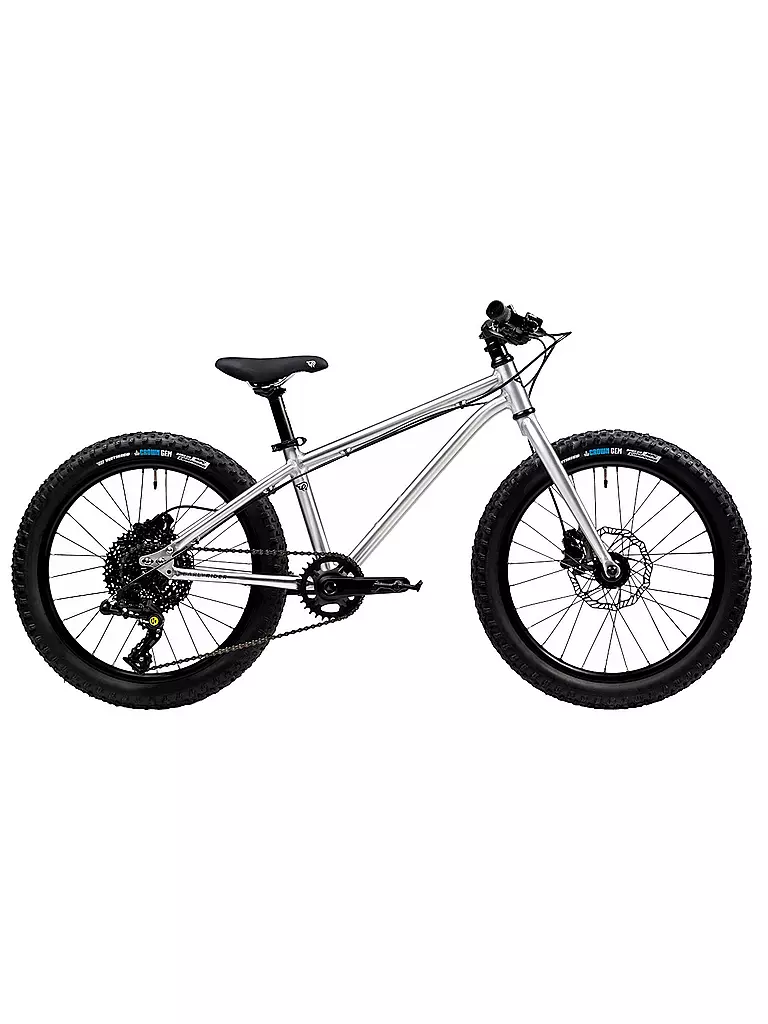 EARLY RIDER | Jugend Mountainbike 20" Seeker 2021 | silber