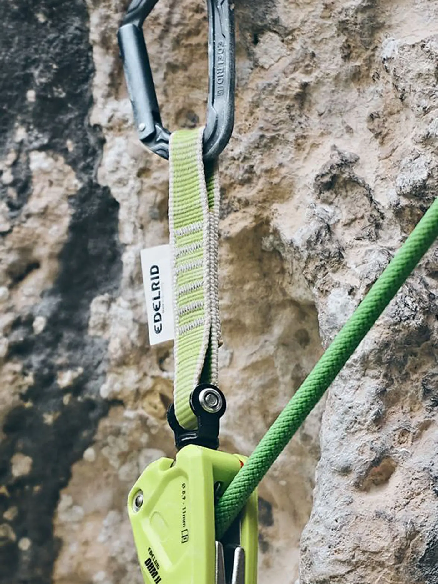 EDELRID | Sicherungsgerät OHM | grün