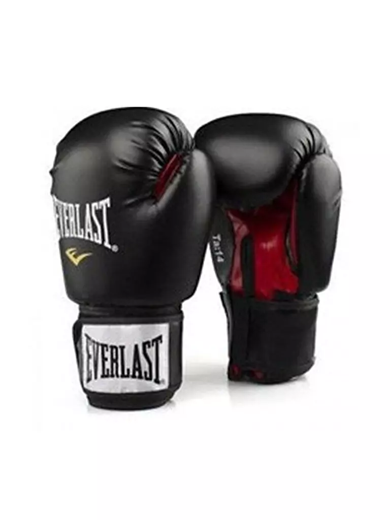 EVERLAST | Boxhandschuhe Ergo Foam PU | schwarz