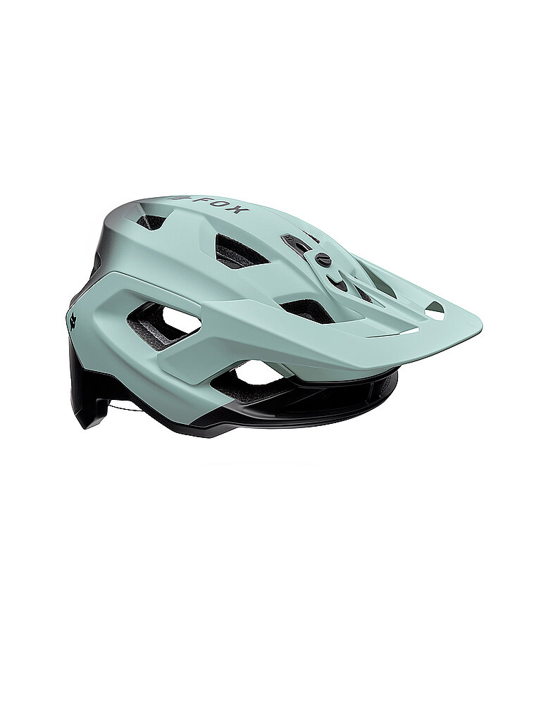 FOX FOX Fahrradhelm Speedframe Pro grau | L, grau