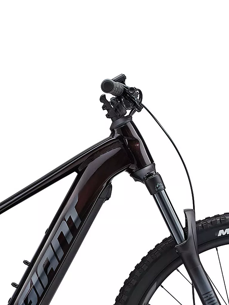 GIANT | Herren E-Mountainbike 29