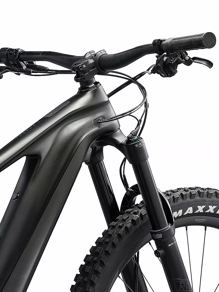 GIANT | Herren E-Mountainbike 29