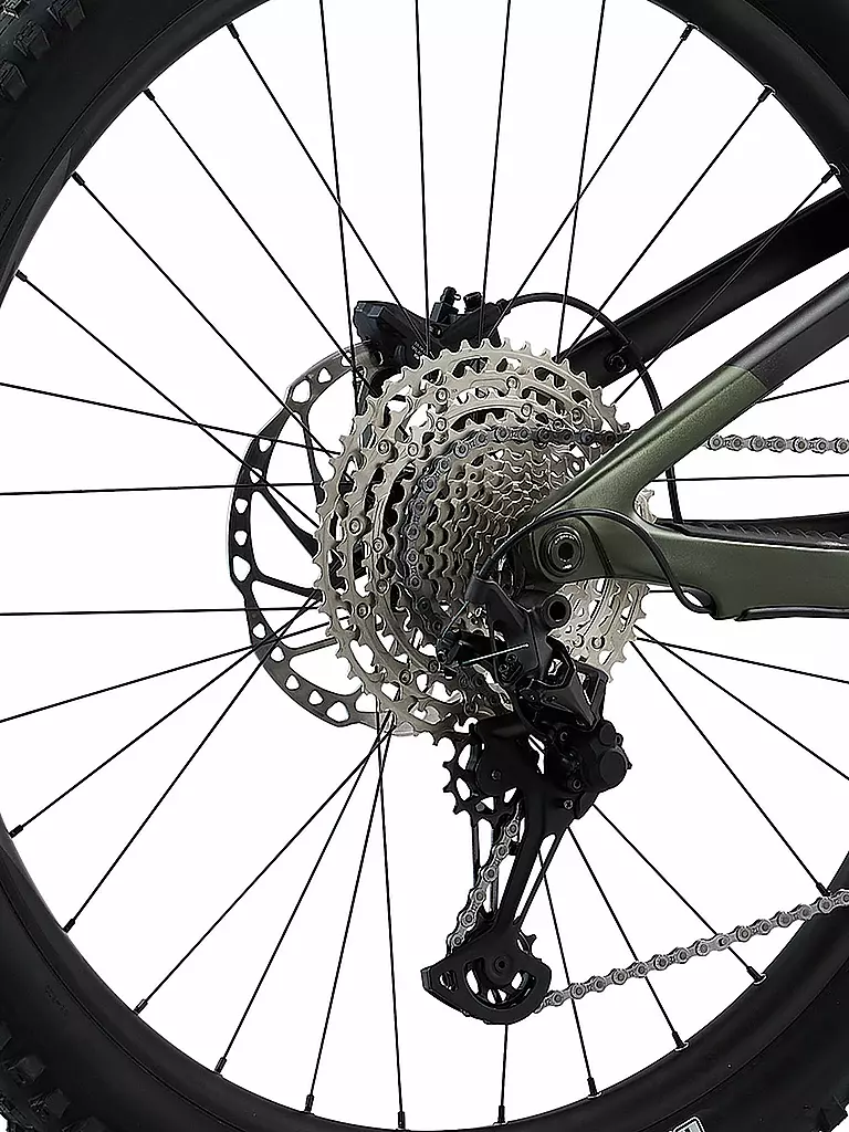 GIANT | Herren E-Mountainbike 29