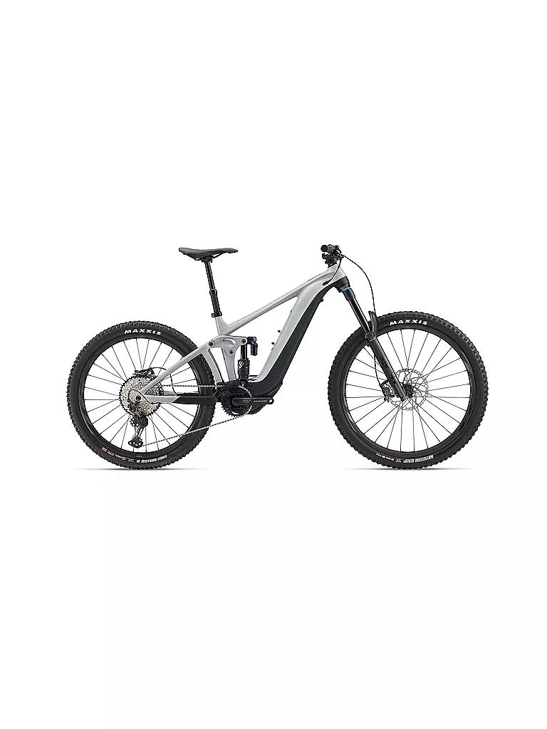 GIANT | Herren E-Mountainbike 29" Reign E+ 1 750WH  | grau